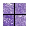 Tapis Hydro-Turf En Rouleau Purple Marble